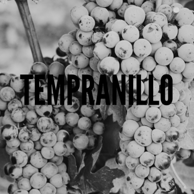 Tempranillo