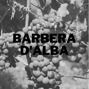 Barbera d´Alba