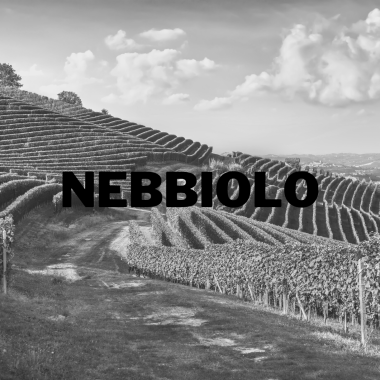 Nebbiolo (Barolo)