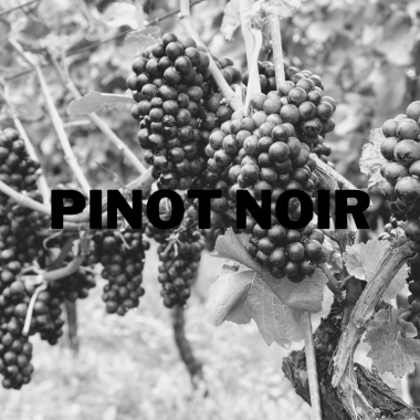 Pinot Noir