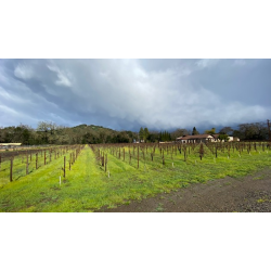 Cabernet Sauvignon, Dantes Block, Oakville, Napa Valley, Hoopes, 2019