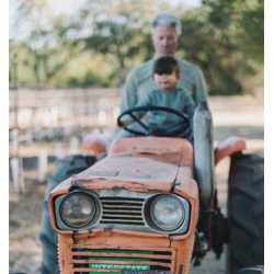 Cabernet Sauvignon, Napa Valley, Hoopes, 2017