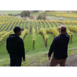 Pinot Noir, Keeler Estate Vineyard, Eola-Amity Hills, Authentique, 2019