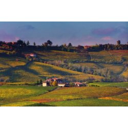 Barbera dAlba, Aldo Clerico, 2023