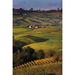 Barolo, Aldo Clerico, 2021