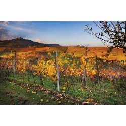 Barolo, Ginestra, Aldo Clerico, 2021 - Magnum - Trske