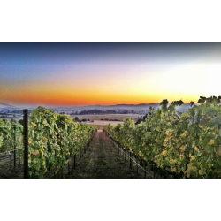 Pinot Noir, Keeler Estate Vineyard, Eola-Amity Hills, Authentique, 2016