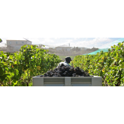 Pinot Noir, Estate, Martinborough, Dublin St., 2014