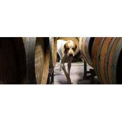 Pinot Noir, Estate, Martinborough, Dublin St., 2014