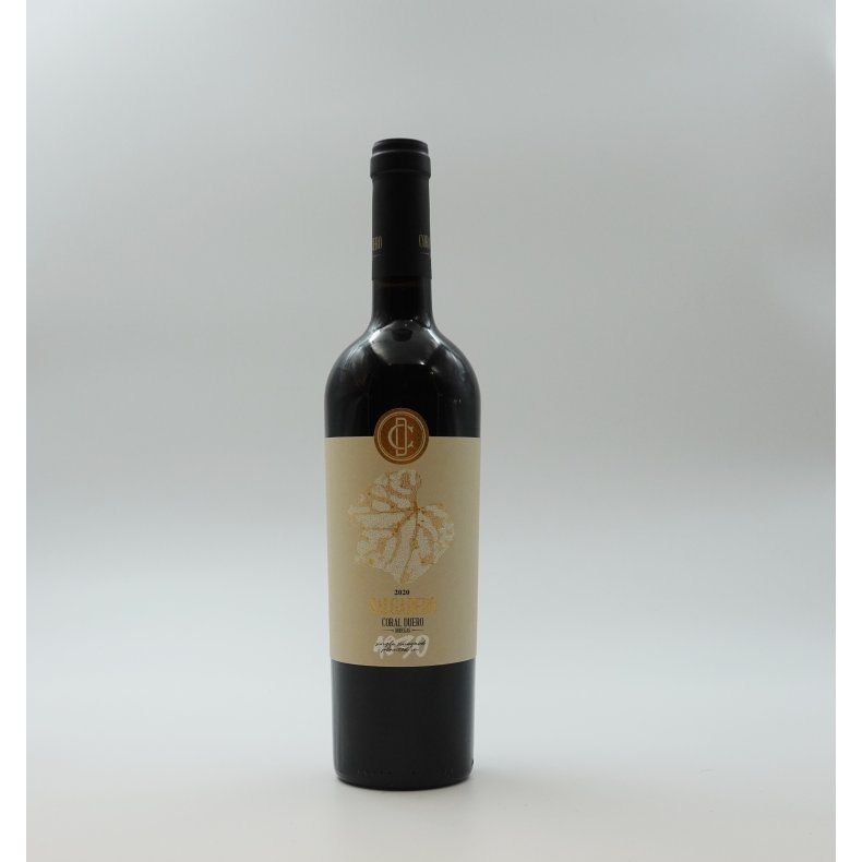 Tempranillo, Salgadero, Toro, Castilla y Le�n, Coral Duero,  2020