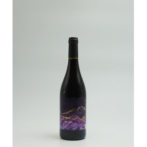 Marselan, Rip Purple, Coteaux de Peyriac, Languedoc, Villepeyroux Forest, 2023