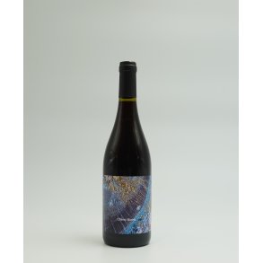 Cinsault, Cherry Bomb, Coteaux de Peyriac, Languedoc, Villepeyroux Forest, 2023