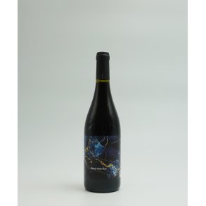 Pinot Noir, Black Hole Sun, Pays d�Oc, Languedoc, Villepeyroux Forest, 2023