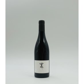 Cotes du Rhone, Les Claux, Domaine Raymond Usseglio, 2024