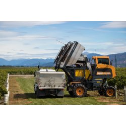 Sauvignon Blanc, Marlborough, Delta, 2021