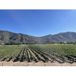 (TILBUD B) - 24 Flasker: 12 Fl. Dani + 12 Fl. Zin, Passione Divina/Russell, 2019 - SPAR 55%