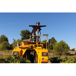 Cinsault, Cherry Bomb, Coteaux de Peyriac, Languedoc, Villepeyroux Forest, 2023