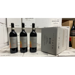 Barolo, Ginestra, Aldo Clerico, 2019 - Magnum - Trske