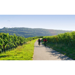 Crmant dAlsace, Brut Millsim, Methode Traditionnelle, Domaine Francois Lichtl 