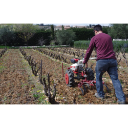 Chateauneuf du Pape, Clos des Terres Blanche, 2024 - Magnum