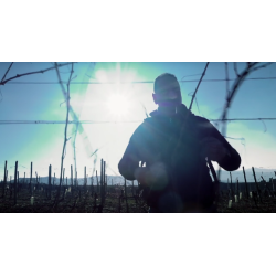 Barbaresco, Riserva, Canova, Ressia, 2016 - Leveres ved k�b af 6 fl. i tr��ske