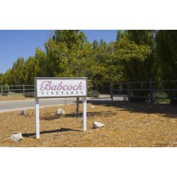 Pinot Noir, Ritas Earth, Sta. Rita Hills, Babcock, 2019 - SPAR 40%