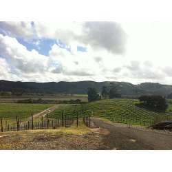 Pinot Noir, Dj Vu, Santa Rita Hills, Santa Barbara, Babcock, 2019