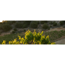 Tempranillo, Rioja, Gran Reserva, Bodegas Valoria, 2008