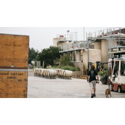 Pinot Noir, Ritas Earth, Sta. Rita Hills, Babcock, 2019 - SPAR 40%