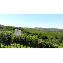 Barbaresco, Riserva, Canova, Ressia, 2016 - Leveres ved k�b af 6 fl. i tr��ske