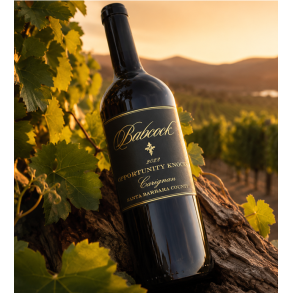 Carignan, Opportunity Knocks, Santa Barbara County, Babcock, 2022