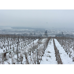 Champagne, Brut, Caullery Perseval