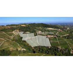 Barolo, Ciabot Mentin, Domenico Clerico, 2013 - Magnum - Leveres i trske