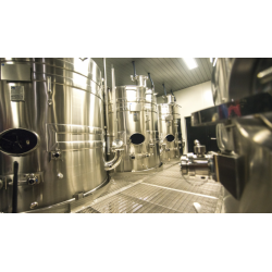 Champagne 1�er Cru, Brut, Cuv�e �clat, Cossy