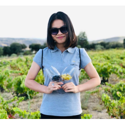 Jimbro Origin, Castilla y Leon, Bodegas Entrebancales, 2019 - R�d