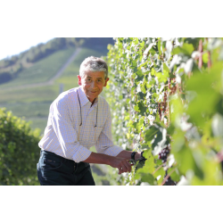 Barolo, Aeroplanservaj, Domenico Clerico, 2013 - 6 flasker - Leveres i trske