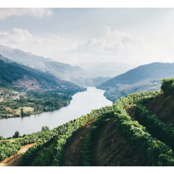Jimbro 3, Castilla y Leon, Bodegas Entrebancales, 2018