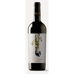 Tempranillo, EnVena, Toro, Castilla y Len, Coral Duero,  2022