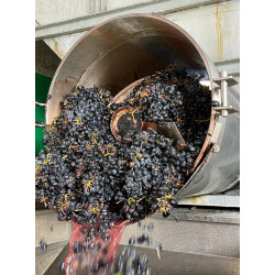 Barbera dAlba, Superiore, Roero, Asso Di Denari, 2021