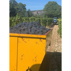 �glantine, Pic Saint-Loup, Languedoc, Domaine Mirabel, 2024