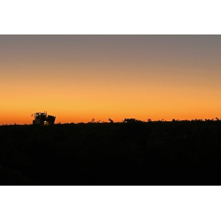 Verdejo, Cimbron Seleccion, Rueda, Castilla y Leon, Felix Sanz, 2024