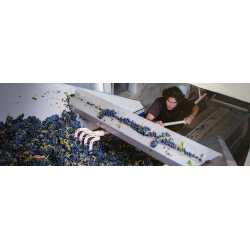 Vinsobres, Tradition, Rhone, Domaine Saint Vincent, 2023