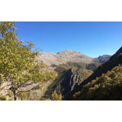 Jimbro �kologisk Skov-Honning 400 gram