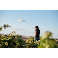 Cenit Tradici�n, Tierra del Vino de Zamora, Castilla y Le�n, Vinas del Cenit, 2020