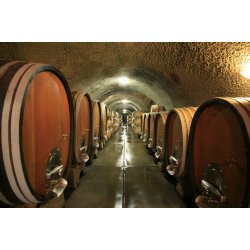 Pinot Noir, Sonoma Coast, Schug Winery, 2021