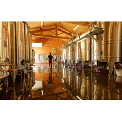 Pinot Noir, Black Hole Sun, Pays d�Oc, Languedoc, Villepeyroux Forest, 2023