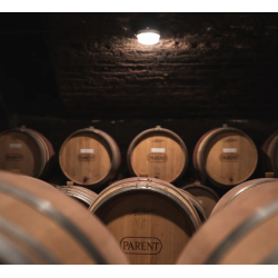 Bourgogne Cote d�Or, Bourgogne, Domaine Parent, 2022