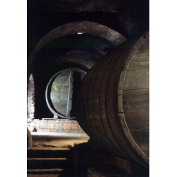 Sauvignon Blanc, Cimbron, Rueda, Castilla y Leon, Felix Sanz, 2024