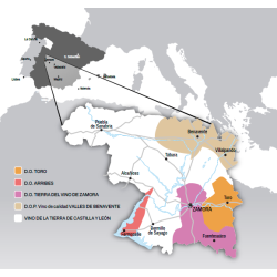 Tempranillo, Vocablos, Toro, Castilla y Leon, Felix Sanz, 2019