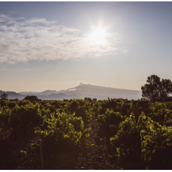 Cotes du Rhone, Les Claux, Rhone, Domaine Raymond Usseglio, 2024